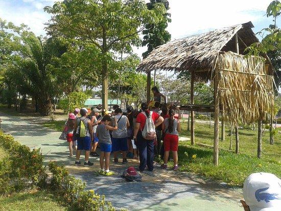 Cultural Centre of the Peoples of the Amazon